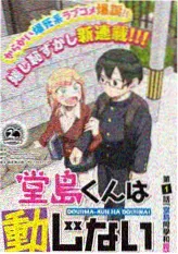 都市言情新书《晚风知我意》封面